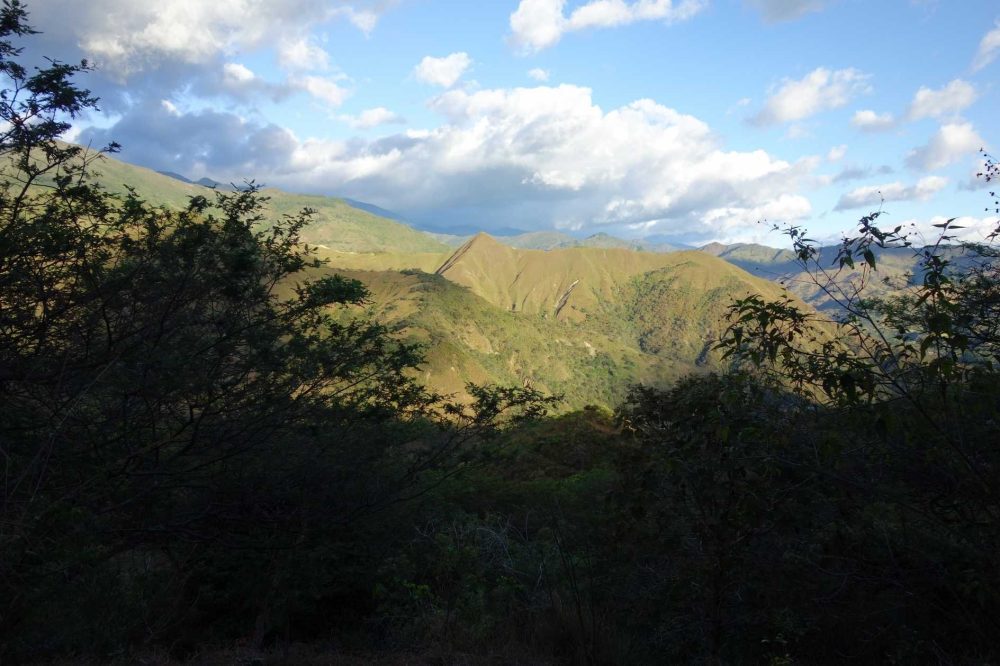 El Salvador - Honey - Chinameca - Image 4